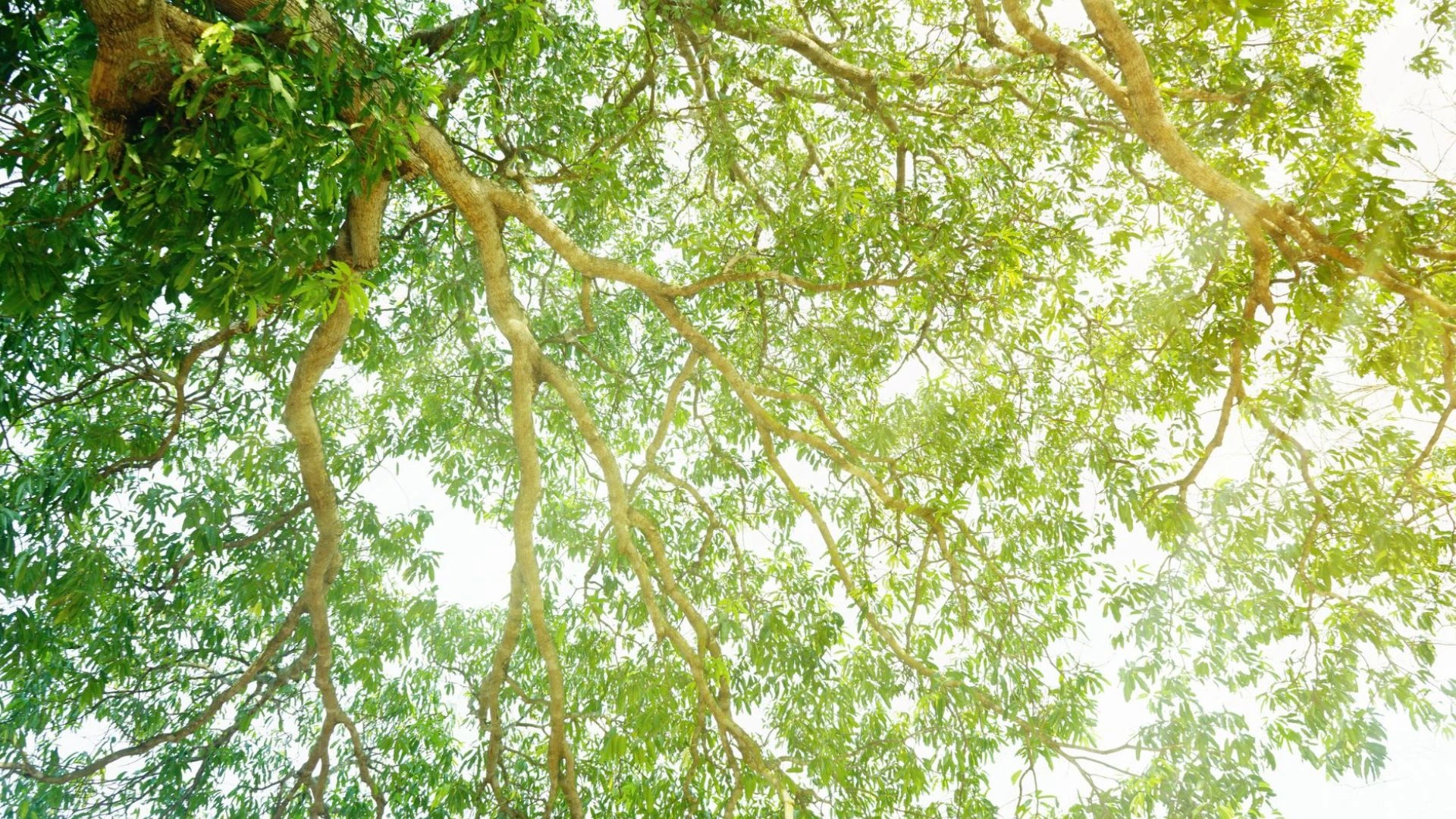 Duurzaamheid is voor LESER niet alleen een concept